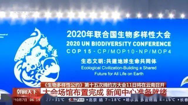 626969澳彩资料大全2022年新亮点,持久性方案设计_纪念版99.467