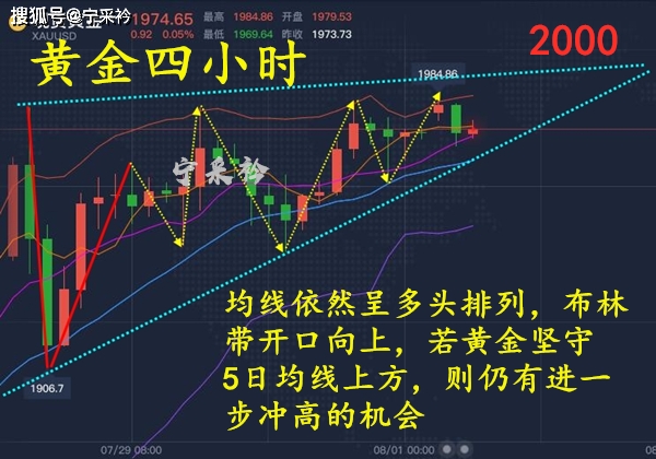 新澳门彩出号综合走势图,高速解析方案响应_SHD68.235