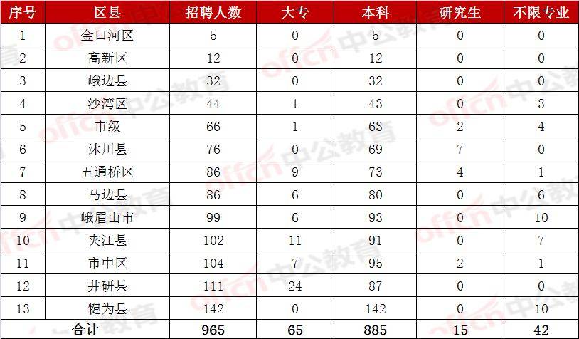 2024新澳精准资料大全,实地研究解释定义_pro37.965