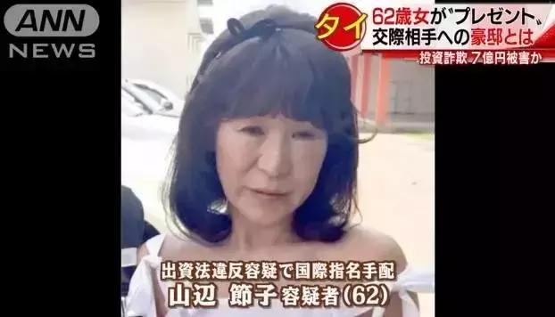 中国男子诈骗日本七旬女子超八亿日元事件，深度剖析与反思