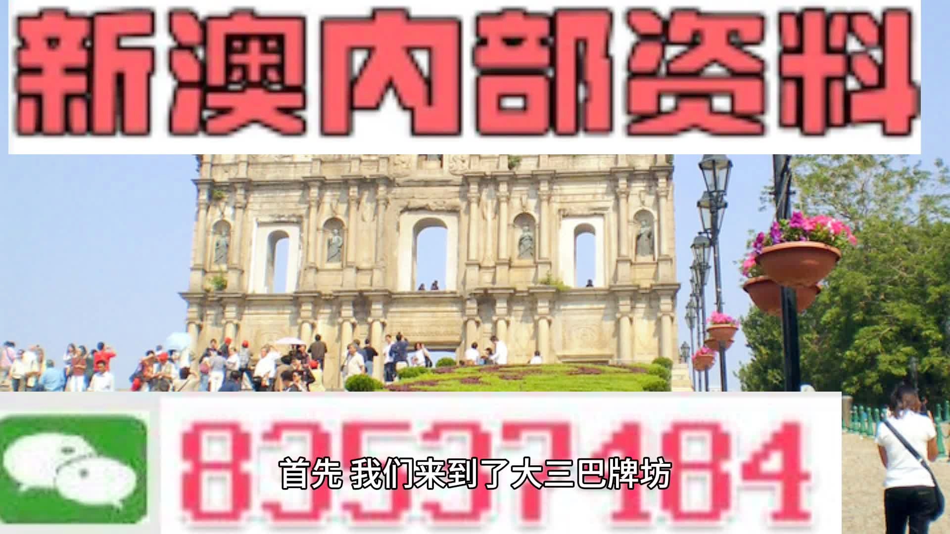 2024新澳门原料免费462,权威解读说明_MT87.620