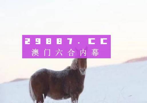 7777788888澳门王中王2024年,实地数据验证实施_XE版33.393