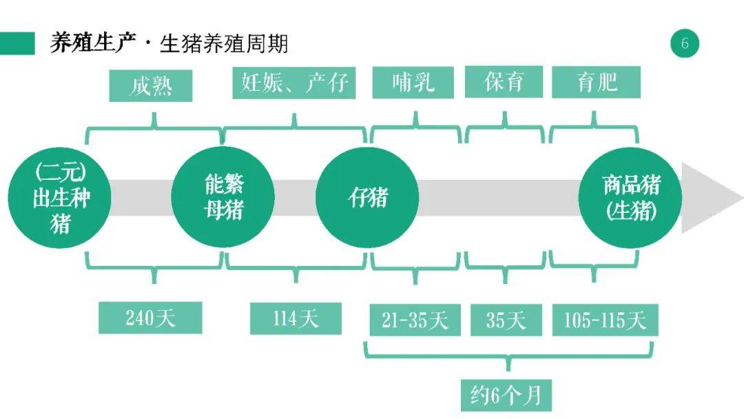 〓爱你让我卑微到了泥土里 第4页