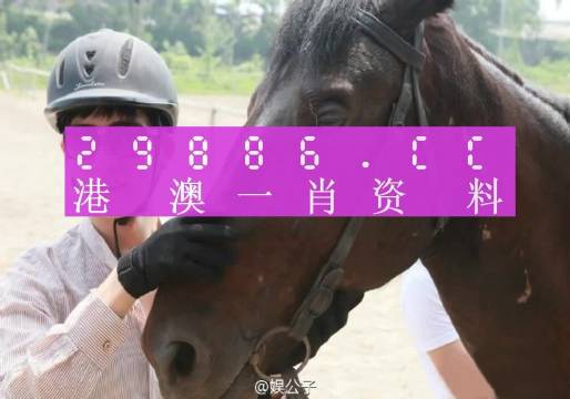 今晚上澳门必中一肖,实地评估策略_入门版20.139