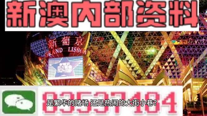 新澳门精准资料大全管家婆料,快速设计问题计划_HarmonyOS19.437