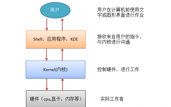 最准一肖一码100%免费,标准化流程评估_Linux37.11