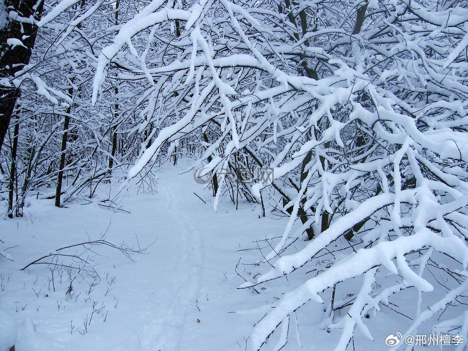 罕见气象现象揭秘，东北局部降雪量呈现紫色现象