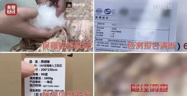 央视揭秘羽绒骗局，警惕虚假宣传，守护消费者权益安全