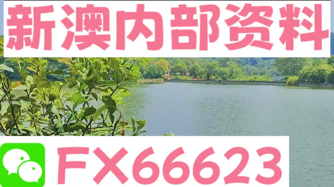 新澳精准资料免费提供网站,统计解答解释定义_高级版34.615