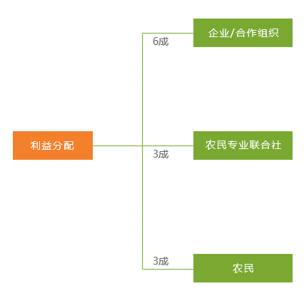 新澳门内部资料精准大全82,现状解答解释落实_安卓24.805