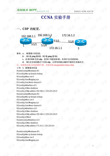 一码精准资料,专业说明解析_Deluxe28.40