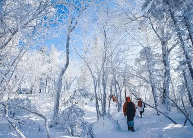 哈尔滨放大招，185大帅哥公主抱滑雪