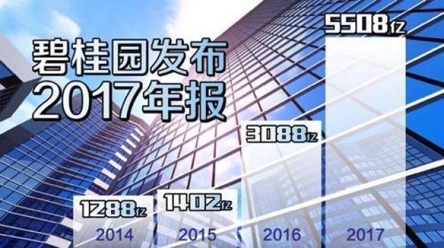 2024年12月5日 第16页