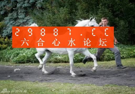 7777788888新版跑狗图解析,快速解答设计解析_set51.81