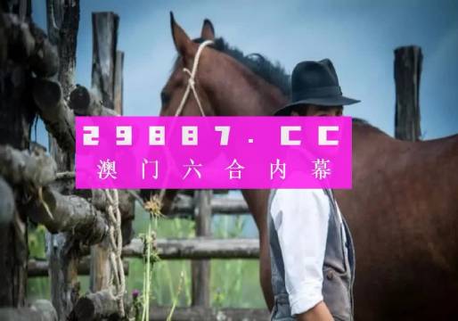 今晚澳门最准一肖一码,可靠性计划解析_D版48.888