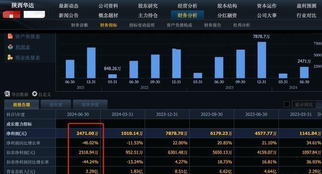 中信证券股票，深度剖析与投资策略探讨