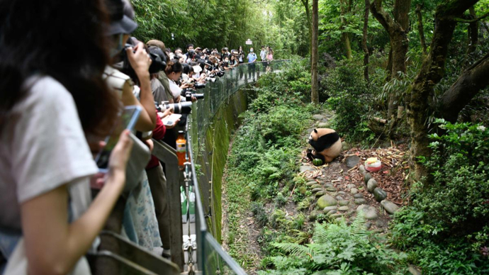 女子熊猫基地拉横幅引发争议，公众关注与反思