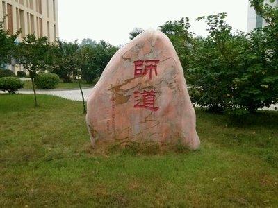 河南四库一平台网站，连接传统与现代，展现河南魅力的纽带