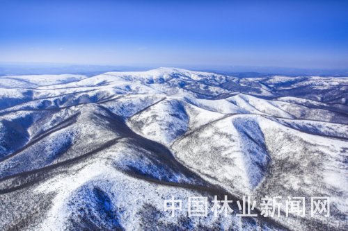 冰天雪地中的金山银山，自然资源的深度解读与利用之道