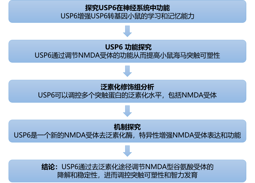 新澳好彩免费提供资料,高速响应策略解析_MR91.398