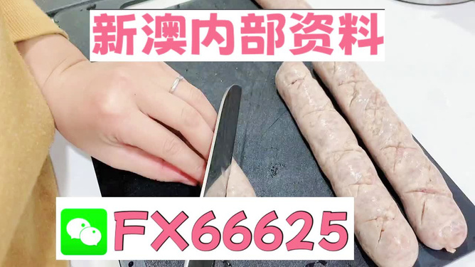 新澳精准资料免费提供最新版,动态解释词汇_FT24.163