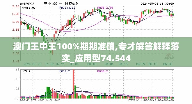 澳门精准王中王免费公开,多元化方案执行策略_WP31.751