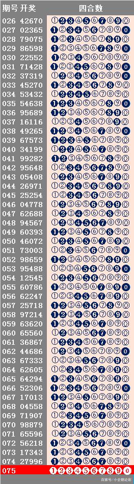 2024年12月11日 第62页