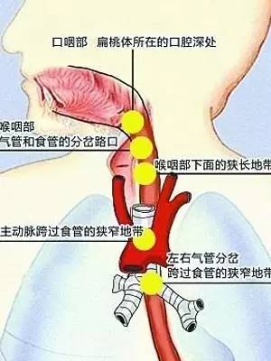 地球人 第35页