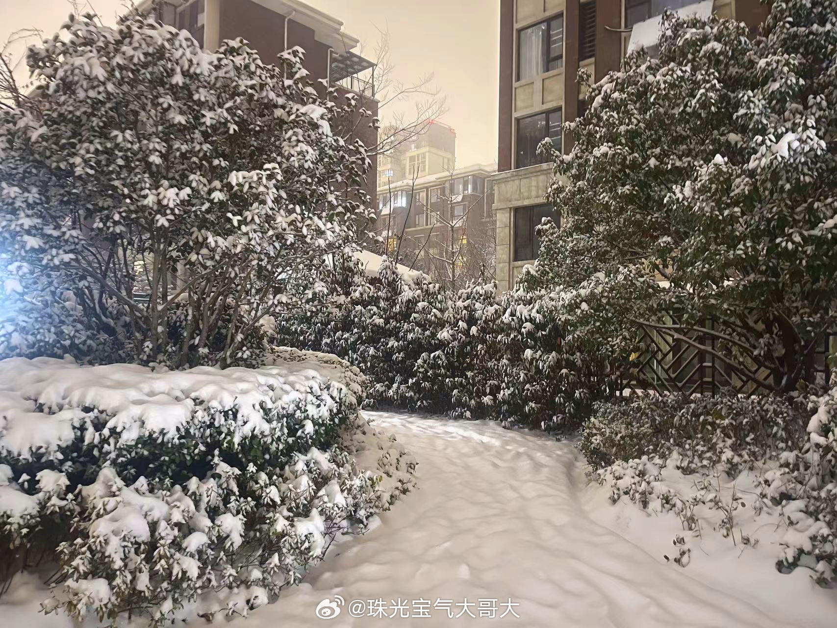 全国多地加入下雪群聊