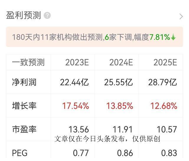 2024年12月11日 第7页