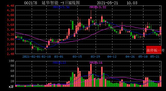 延华智能（002178）股吧，投资领域的机遇与挑战并存探究