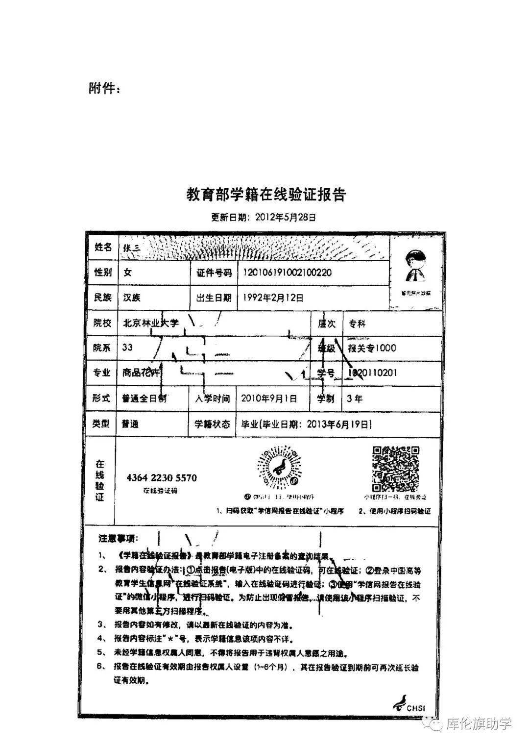 教育部学籍在线验证报告，重要性及应用解析