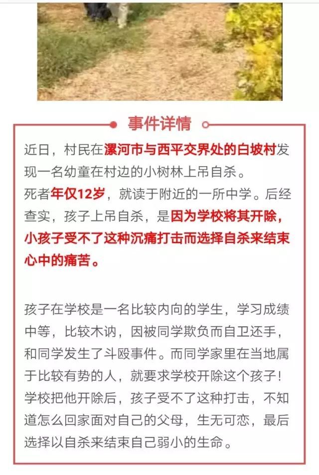 苏州学生手拉手跳楼事件引发社会深思与官方回应