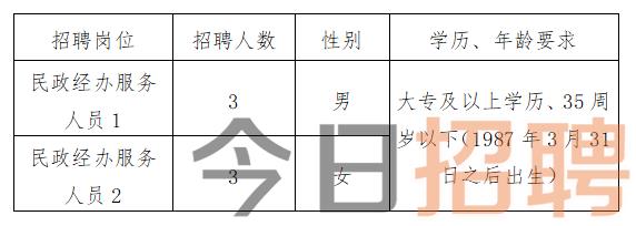 纳雍县民政局最新招聘信息概览