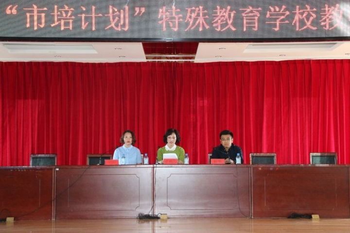 四方台区特殊教育事业单位项目最新进展及其社会影响分析