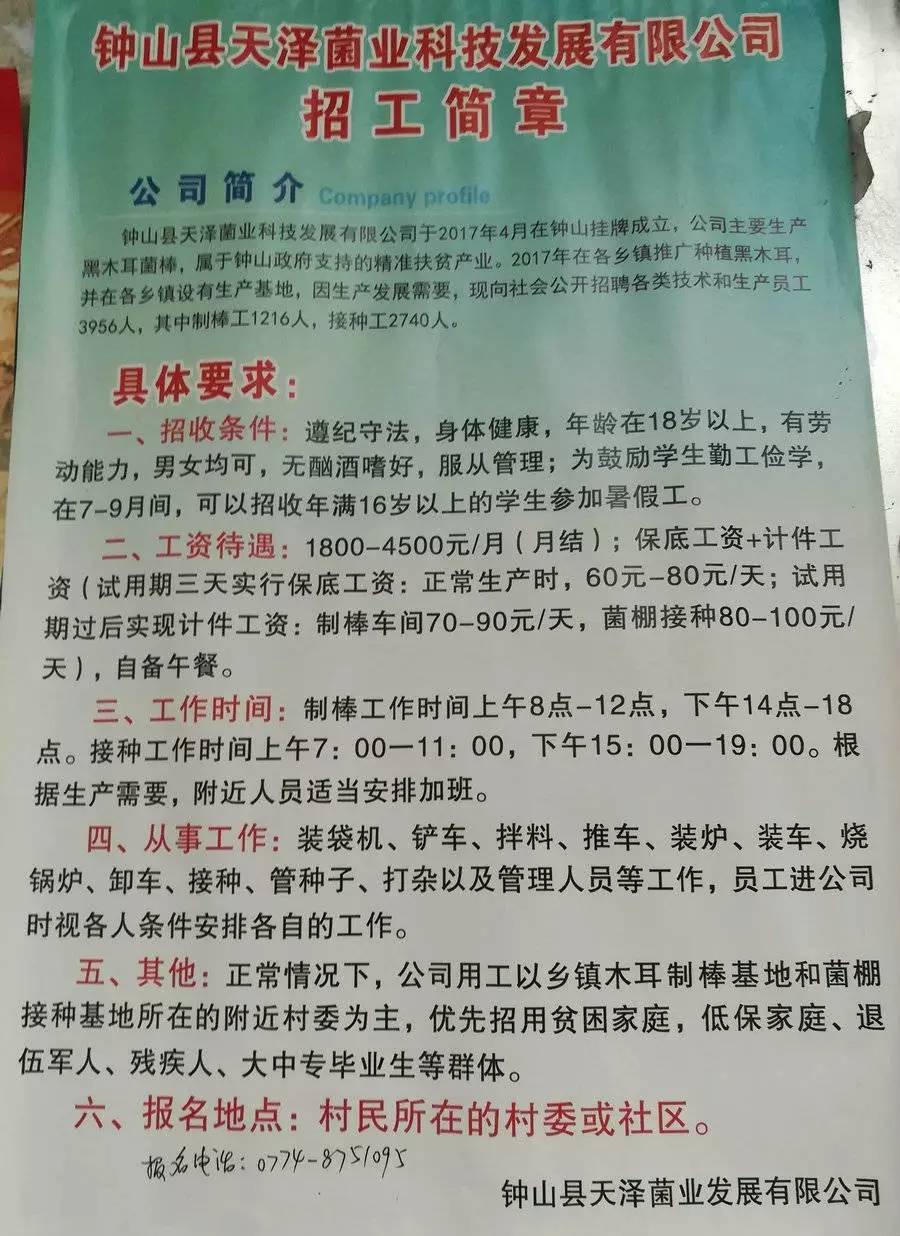 蘑菇峪乡最新招聘信息全面解析