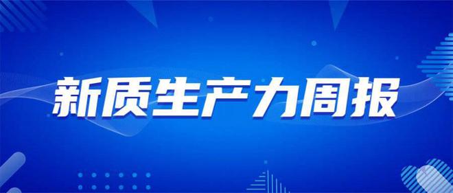 2024年12月13日 第19页