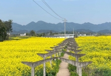 石山镇天气预报更新通知