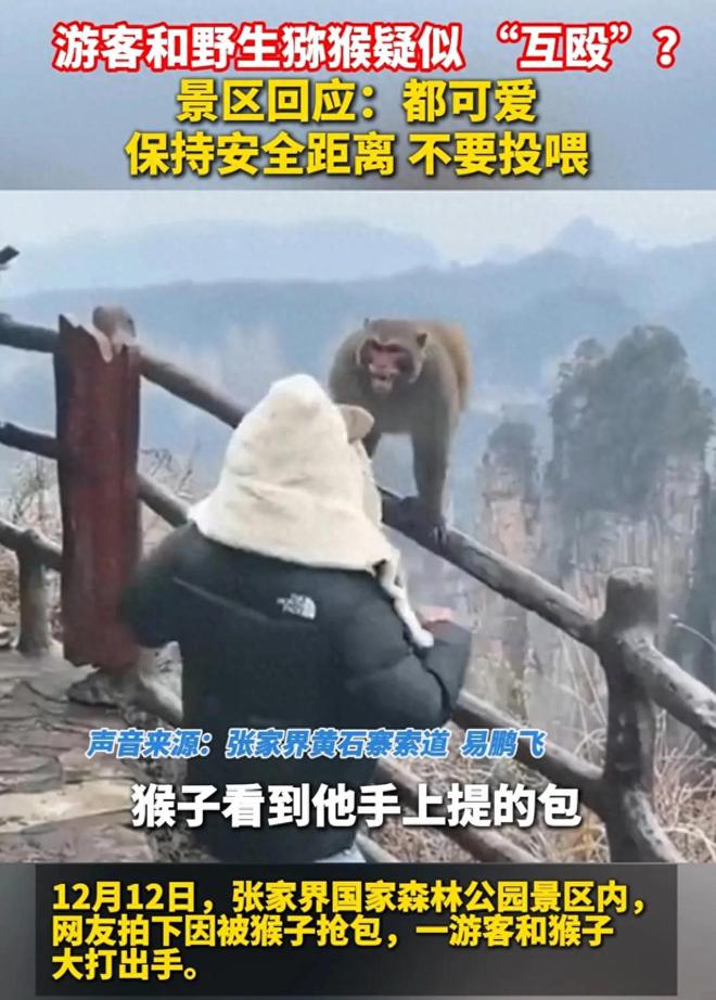 张家界游客与猴子互殴事件引发关注