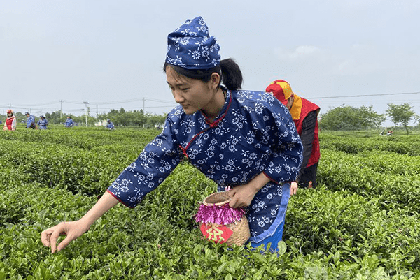 黄花塘镇最新新闻速递