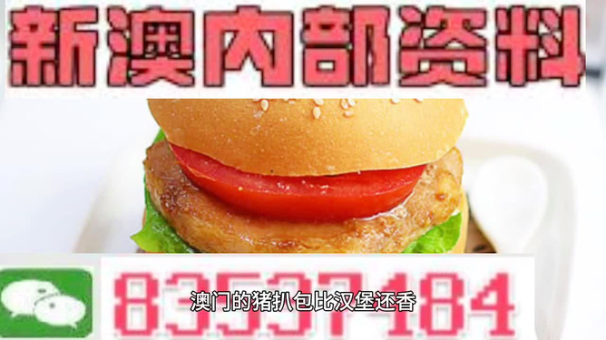 新澳门精准资料大全管家婆料,动态调整策略执行_MR53.832