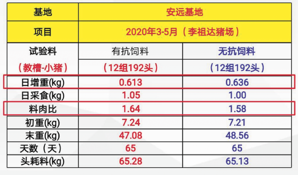 新澳历史开奖结果记录大全,实地计划验证策略_专业版92.992