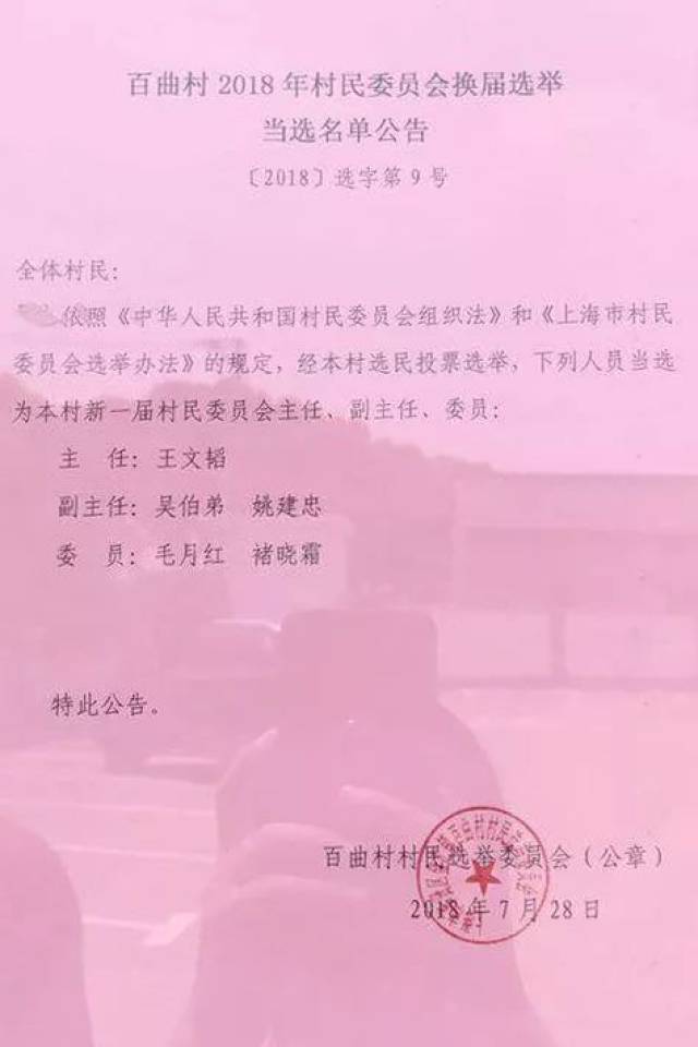 树湾村委会人事任命推动村级治理新进展