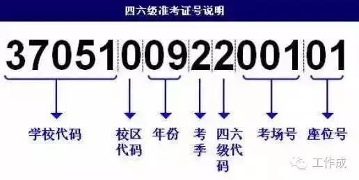 新澳门今期开奖结果什么,快捷解决方案_精英版49.776