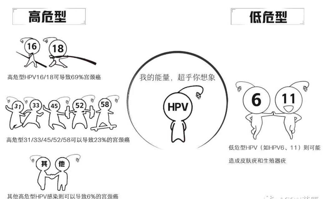 从HPV感染到宫颈癌，只有5步