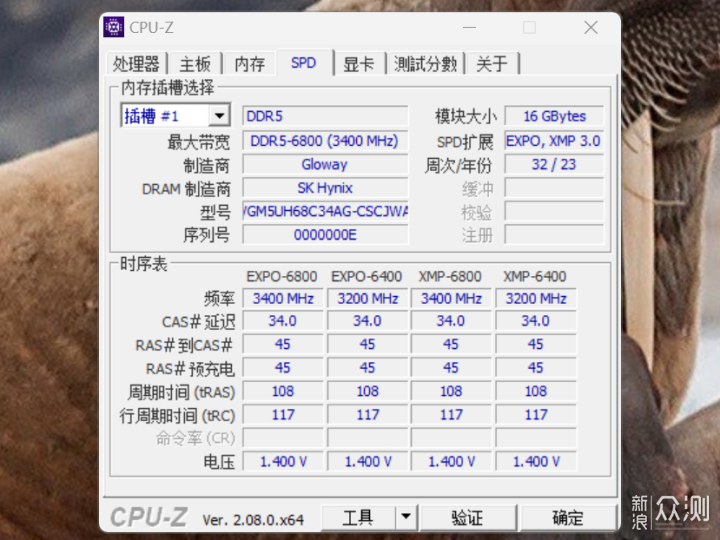 光威内存推出国产DDR5内存，长鑫存储开始生产DDR5颗粒？