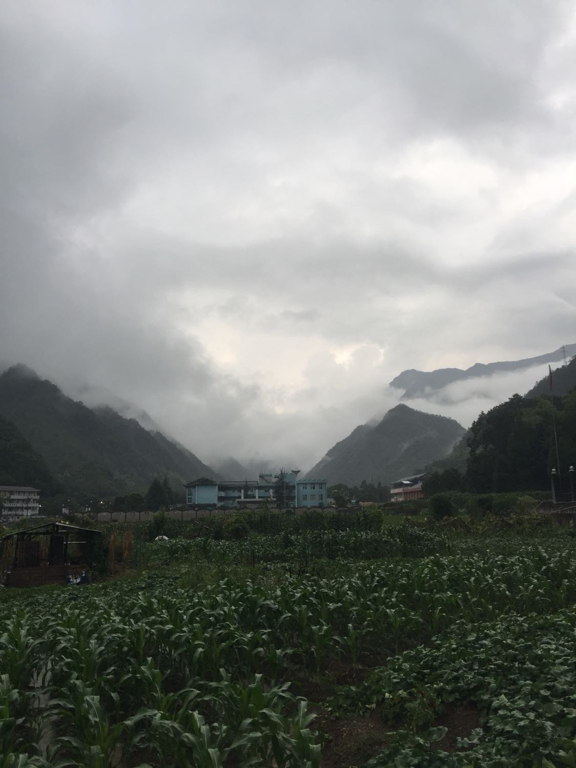 玉凤村天气预报更新通知