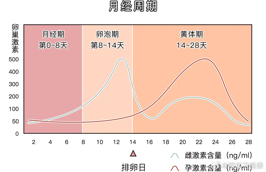 隐私保护 第4页