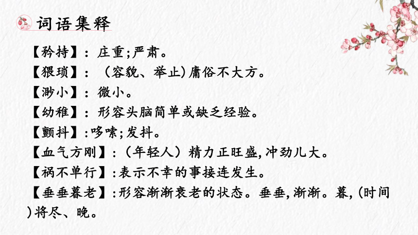 遇见一棵好潦草的圣诞树