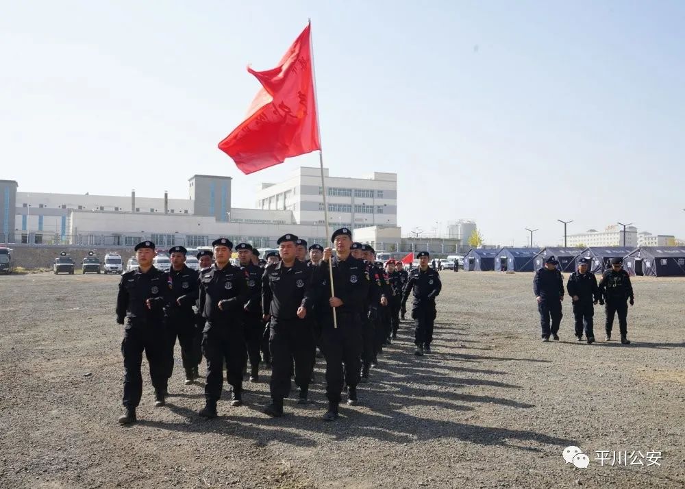 平川区公安局现代化警务体系发展规划，提升社会治理效能